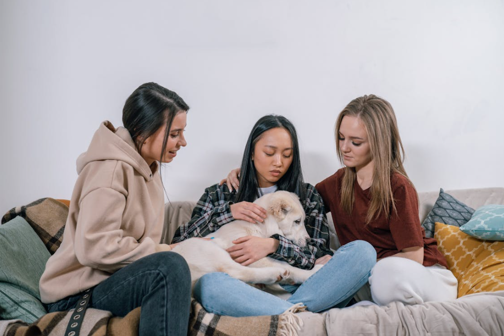 WhiskRise: Where Pet Wellness Meets Love and Innovation